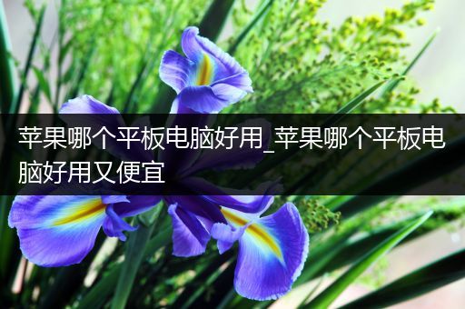 苹果哪个平板电脑好用_苹果哪个平板电脑好用又便宜