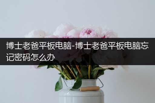 博士老爸平板电脑-博士老爸平板电脑忘记密码怎么办