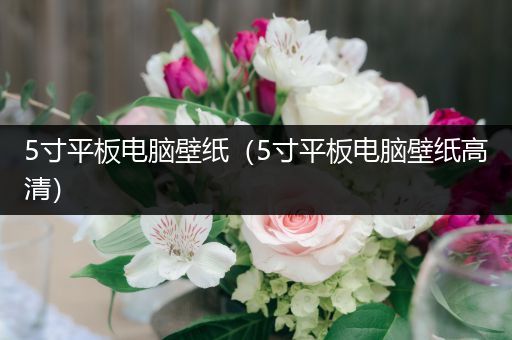 5寸平板电脑壁纸（5寸平板电脑壁纸高清）