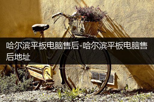 哈尔滨平板电脑售后-哈尔滨平板电脑售后地址
