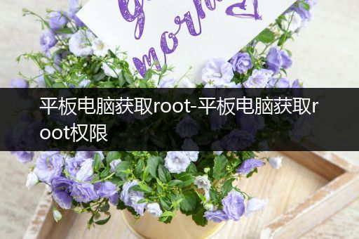 平板电脑获取root-平板电脑获取root权限