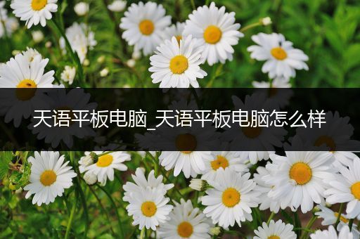 天语平板电脑_天语平板电脑怎么样