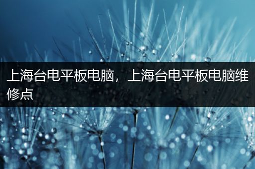 上海台电平板电脑，上海台电平板电脑维修点