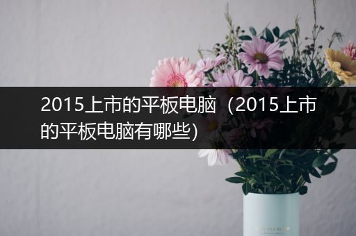 2015上市的平板电脑（2015上市的平板电脑有哪些）