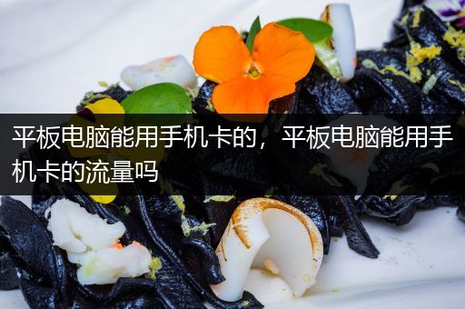 平板电脑能用手机卡的，平板电脑能用手机卡的流量吗