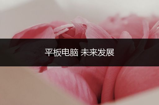 平板电脑 未来发展