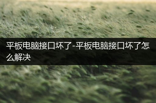 平板电脑接口坏了-平板电脑接口坏了怎么解决