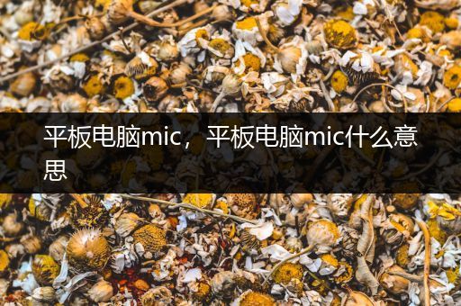 平板电脑mic，平板电脑mic什么意思