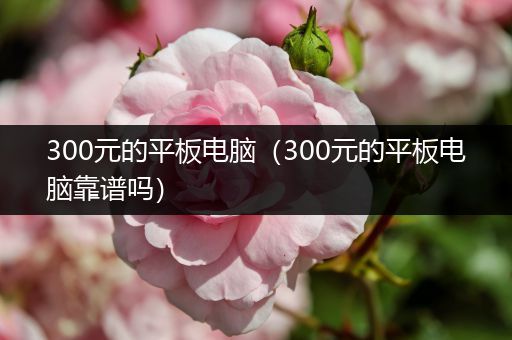 300元的平板电脑（300元的平板电脑靠谱吗）