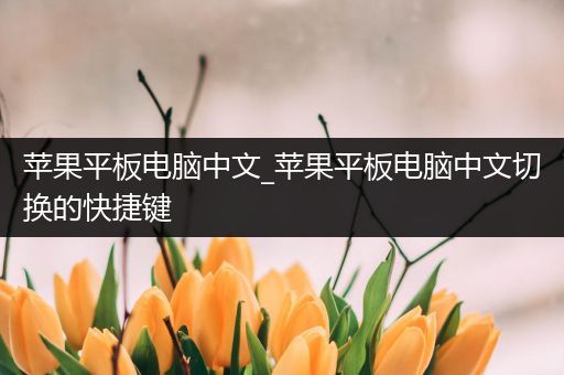 苹果平板电脑中文_苹果平板电脑中文切换的快捷键