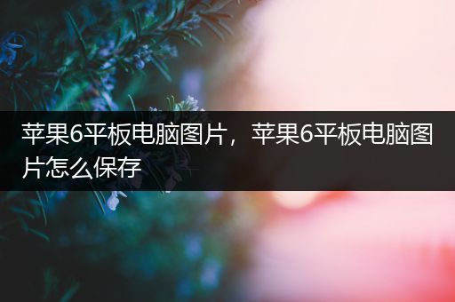 苹果6平板电脑图片，苹果6平板电脑图片怎么保存