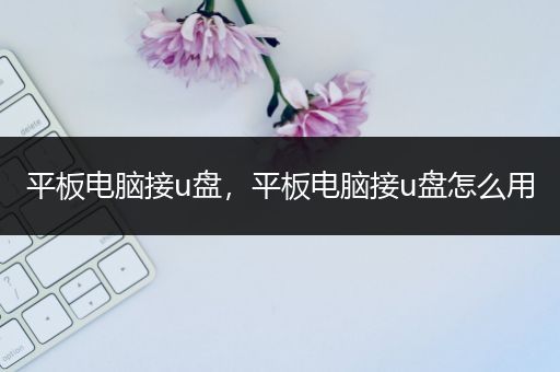 平板电脑接u盘，平板电脑接u盘怎么用