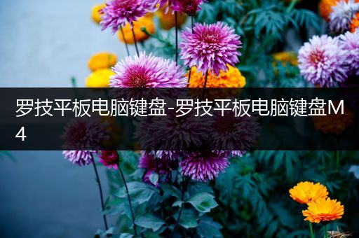 罗技平板电脑键盘-罗技平板电脑键盘M4