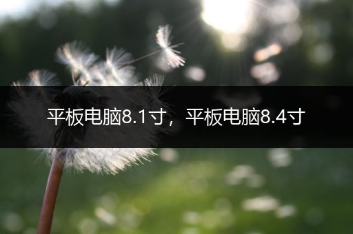 平板电脑8.1寸，平板电脑8.4寸