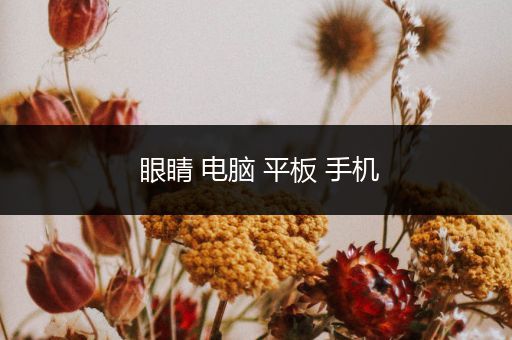 眼睛 电脑 平板 手机