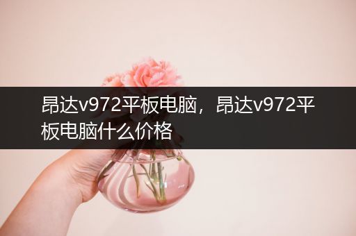 昂达v972平板电脑，昂达v972平板电脑什么价格