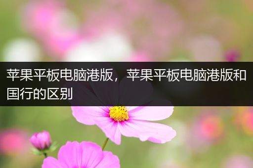 苹果平板电脑港版，苹果平板电脑港版和国行的区别