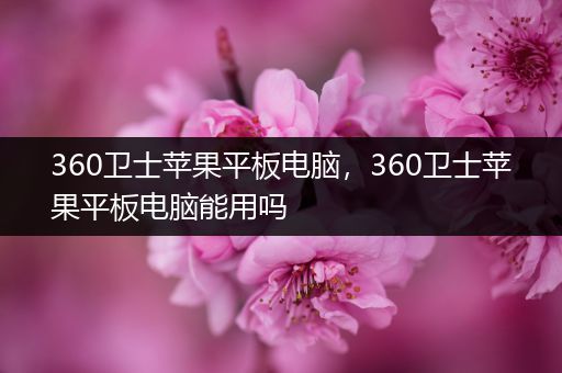 360卫士苹果平板电脑，360卫士苹果平板电脑能用吗