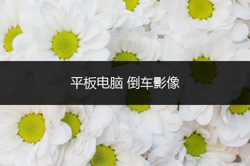 平板电脑 倒车影像