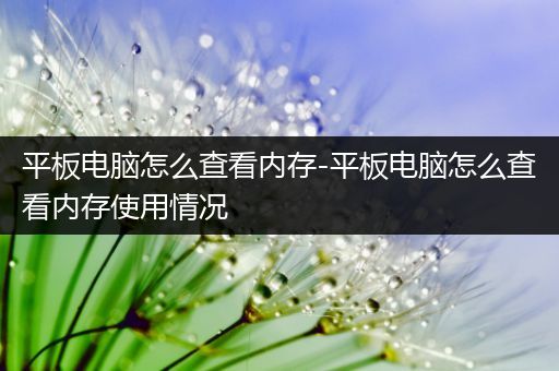 平板电脑怎么查看内存-平板电脑怎么查看内存使用情况