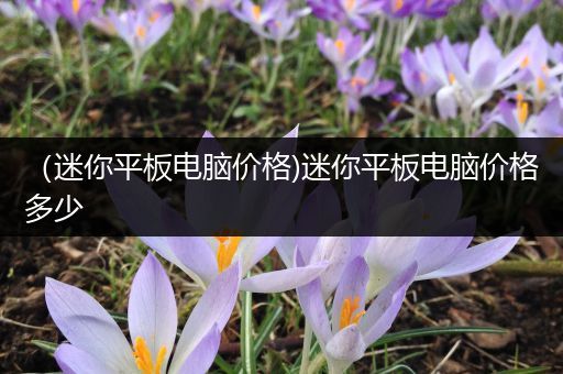 （迷你平板电脑价格)迷你平板电脑价格多少