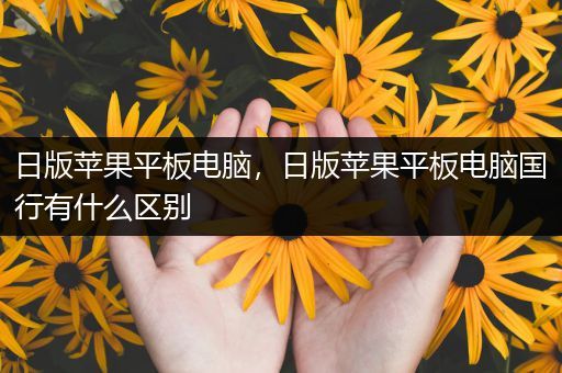 日版苹果平板电脑，日版苹果平板电脑国行有什么区别