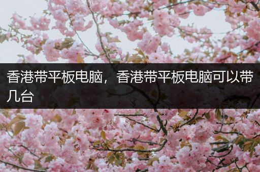 香港带平板电脑，香港带平板电脑可以带几台