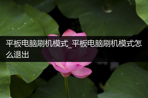 平板电脑刷机模式_平板电脑刷机模式怎么退出