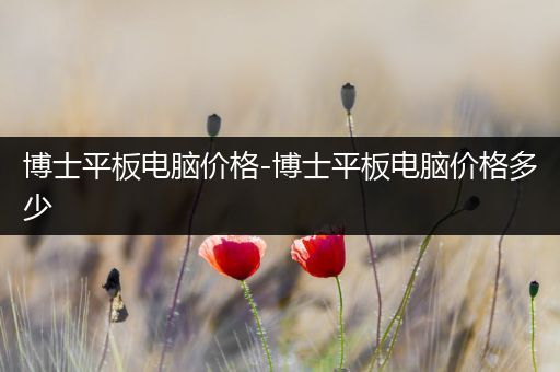 博士平板电脑价格-博士平板电脑价格多少