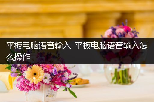 平板电脑语音输入_平板电脑语音输入怎么操作