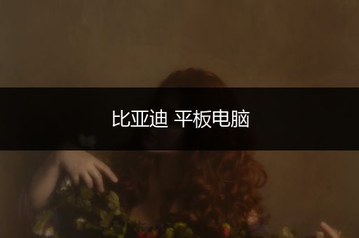 比亚迪 平板电脑