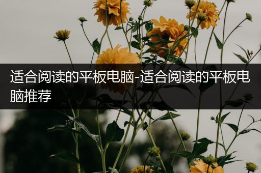 适合阅读的平板电脑-适合阅读的平板电脑推荐
