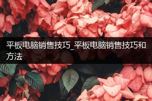 平板电脑销售技巧_平板电脑销售技巧和方法