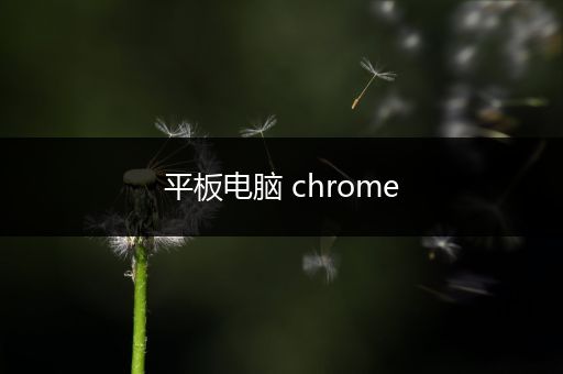 平板电脑 chrome