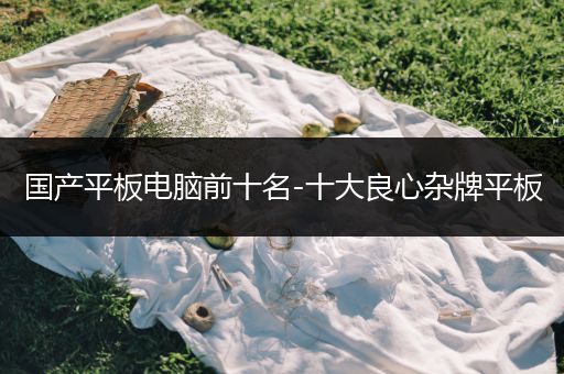 国产平板电脑前十名-十大良心杂牌平板