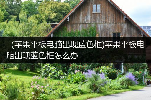 （苹果平板电脑出现蓝色框)苹果平板电脑出现蓝色框怎么办