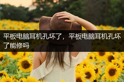 平板电脑耳机孔坏了，平板电脑耳机孔坏了能修吗