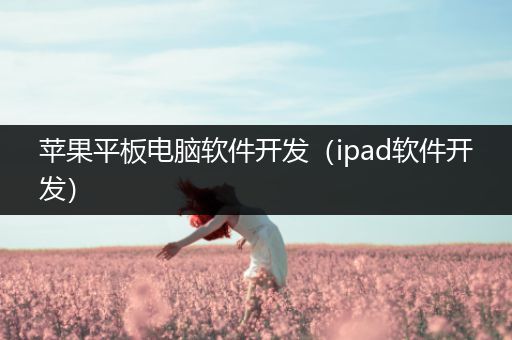 苹果平板电脑软件开发（ipad软件开发）