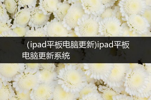 （ipad平板电脑更新)ipad平板电脑更新系统