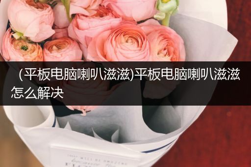 （平板电脑喇叭滋滋)平板电脑喇叭滋滋怎么解决