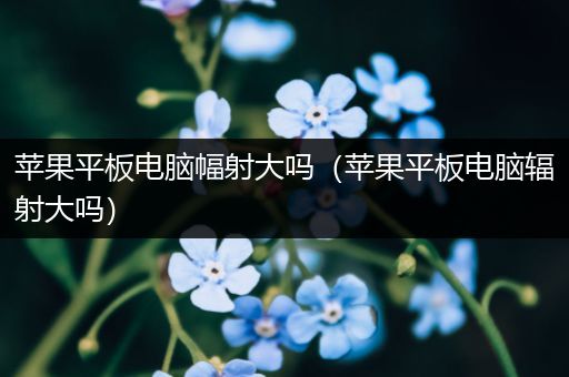 苹果平板电脑幅射大吗（苹果平板电脑辐射大吗）