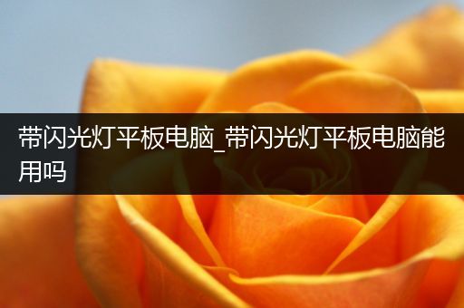 带闪光灯平板电脑_带闪光灯平板电脑能用吗