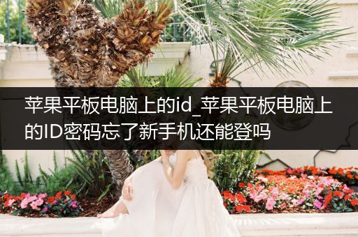 苹果平板电脑上的id_苹果平板电脑上的ID密码忘了新手机还能登吗