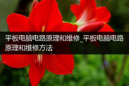 平板电脑电路原理和维修_平板电脑电路原理和维修方法