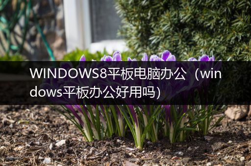 WINDOWS8平板电脑办公（windows平板办公好用吗）