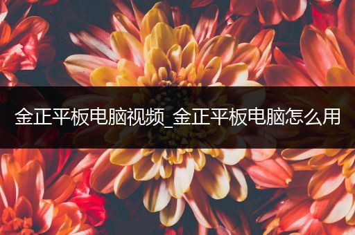 金正平板电脑视频_金正平板电脑怎么用