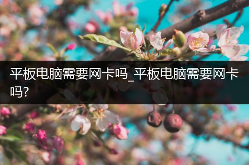 平板电脑需要网卡吗_平板电脑需要网卡吗?