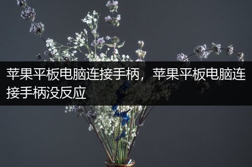 苹果平板电脑连接手柄，苹果平板电脑连接手柄没反应