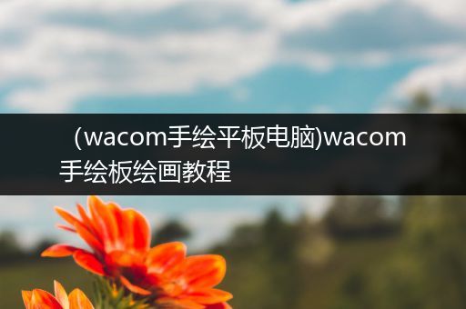 （wacom手绘平板电脑)wacom手绘板绘画教程