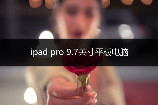 ipad pro 9.7英寸平板电脑